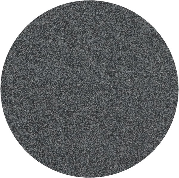 PRO F355 Schleifblatt, 125 mm, G60, 10-tlg.