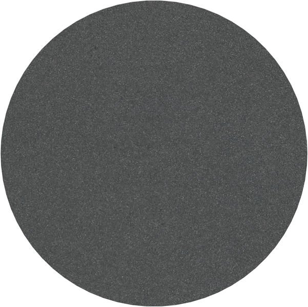 PRO F355 Schleifblatt, 125 mm, 320, 10-tlg.