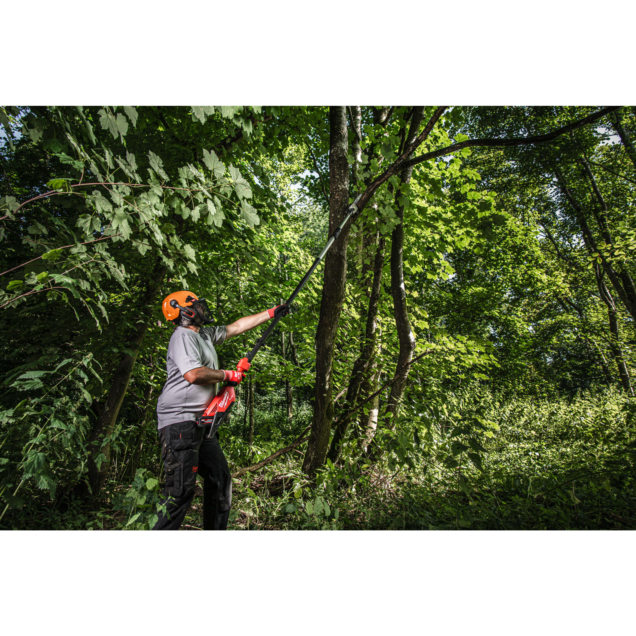 Akku-Teleskop-Astsäge